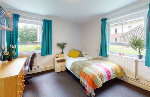 Large Standard Room