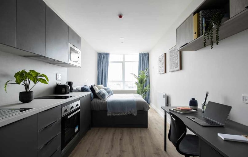 Deluxe Studio, Boutique Swansea, St Helen's Road, Mount Pleasant, Swansea - Image 1