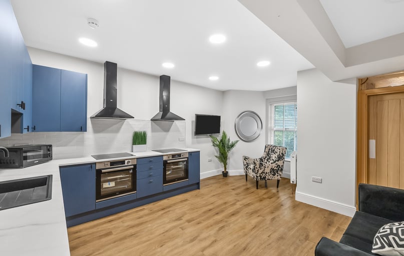 Lisson Grove, Mutley, Plymouth - Image 1