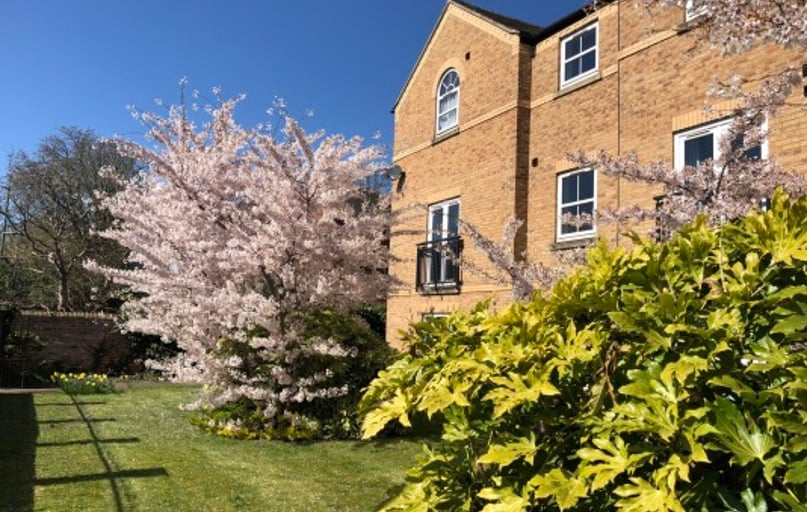 Lawrence Street, Layerthorpe, York - Image 1