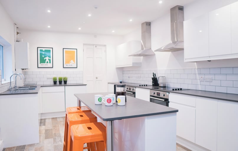 Raymond Street, Garden lane area, Chester - Image 1