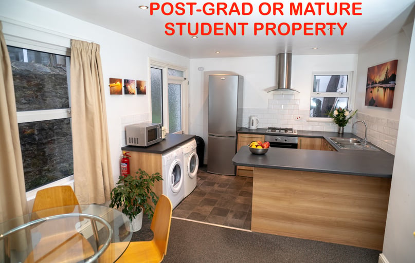 Grafton Road, Mutley, Plymouth - Image 1