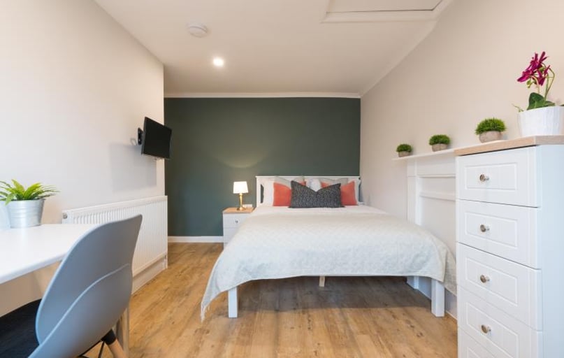 Prospect Street, Greenbank, Plymouth - Image 1