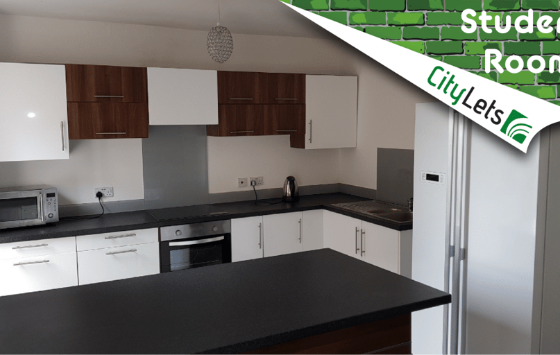 25 Beatrice Avenue (students), Plymouth - Image 1