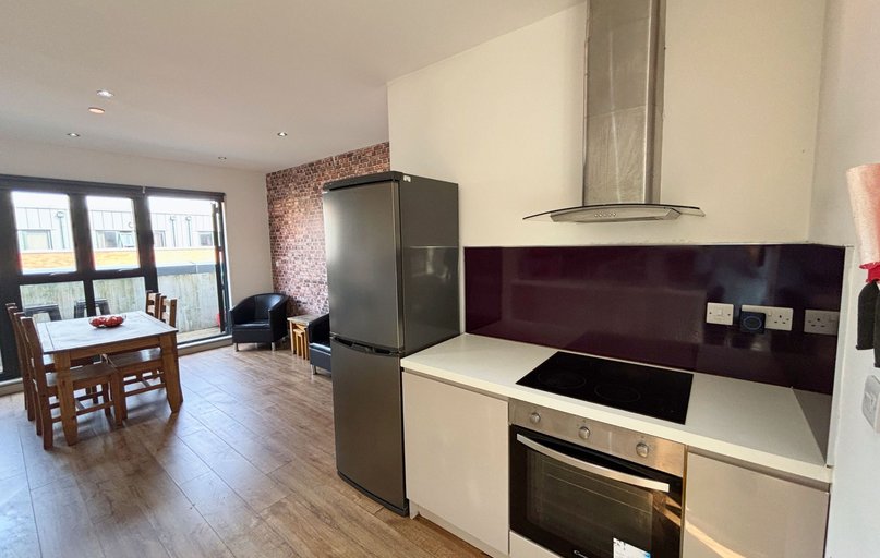 Dun Fields, Kelham Island, Sheffield - Image 1