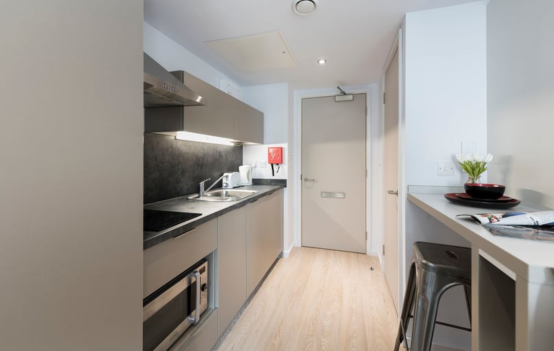 Studio - DDA/Platinum, The Kingfisher, Western Way, Newtown, Exeter - Image 1