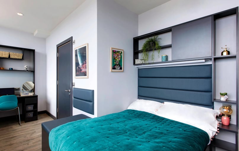 Deluxe En Suite, New Mill, The Liberties, City Centre, Dublin - Image 1