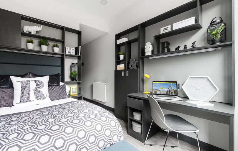 Standard En Suite, New Mill, The Liberties, City Centre, Dublin - Image 1