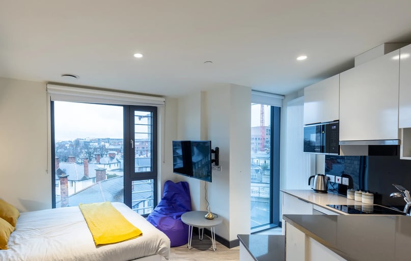 Classic Studio , Brewers Close, Mill Street, Dubin 8, Dublin - Image 1