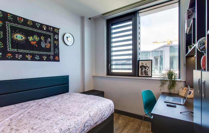Premium En Suite, New Mill, The Liberties, City Centre, Dublin - Image 1
