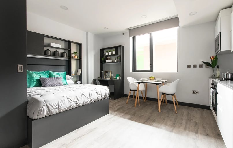 Premium Studio, New Mill, The Liberties, City Centre, Dublin - Image 1
