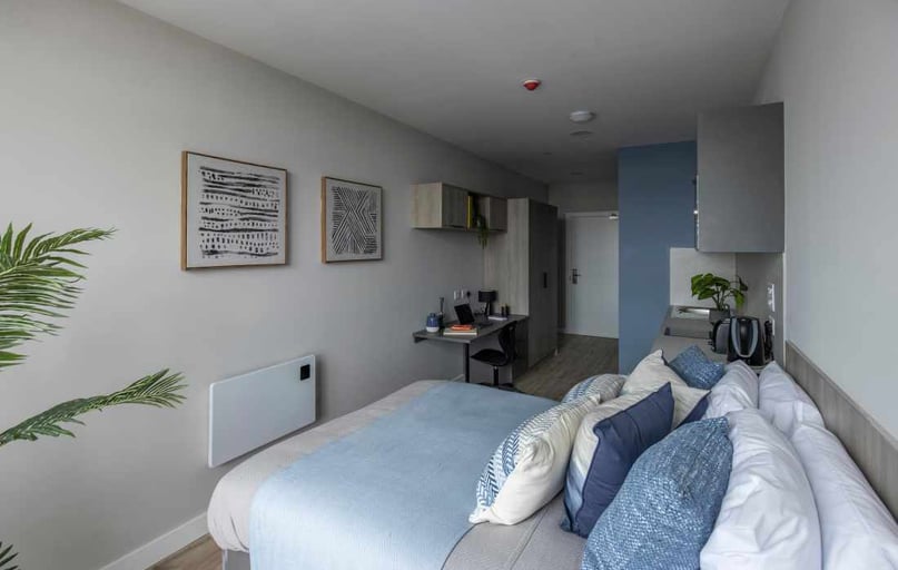 Premium Studio With Terrace, Boutique Swansea, St Helen's Road, Mount Pleasant, Swansea - Image 1