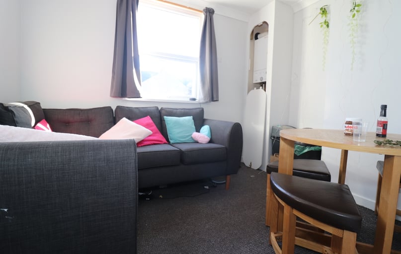 Cathays, Plasnewydd, Cardiff - Image 1