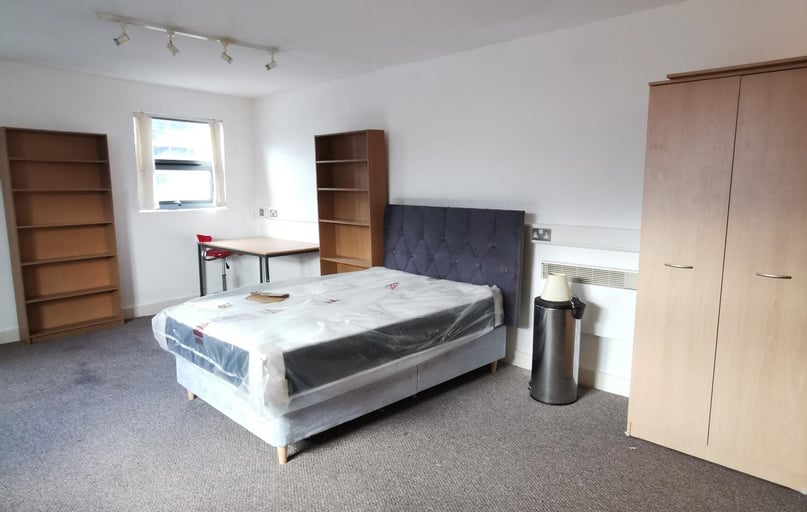 City Centre, Mount Pleasant, Swansea - Image 1