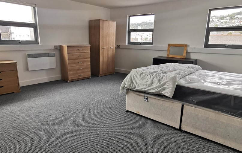 City Centre, Mount Pleasant, Swansea - Image 1