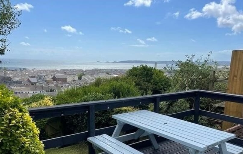 Mount Pleasant, Swansea - Image 1