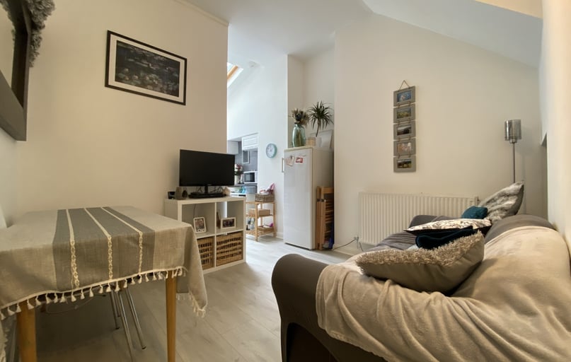 Roath, Plasnewydd, Cardiff - Image 1