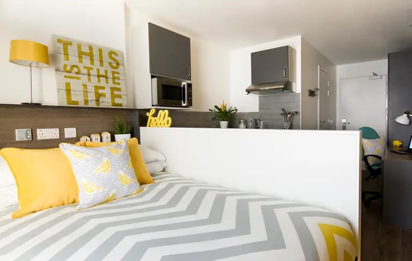 Deluxe Penthouse Studio, Beckley Point, 39 Cobourg Street, City Centre, Plymouth - Image 1