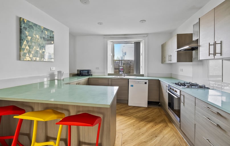 North Road East, North Hill, Plymouth - Image 1