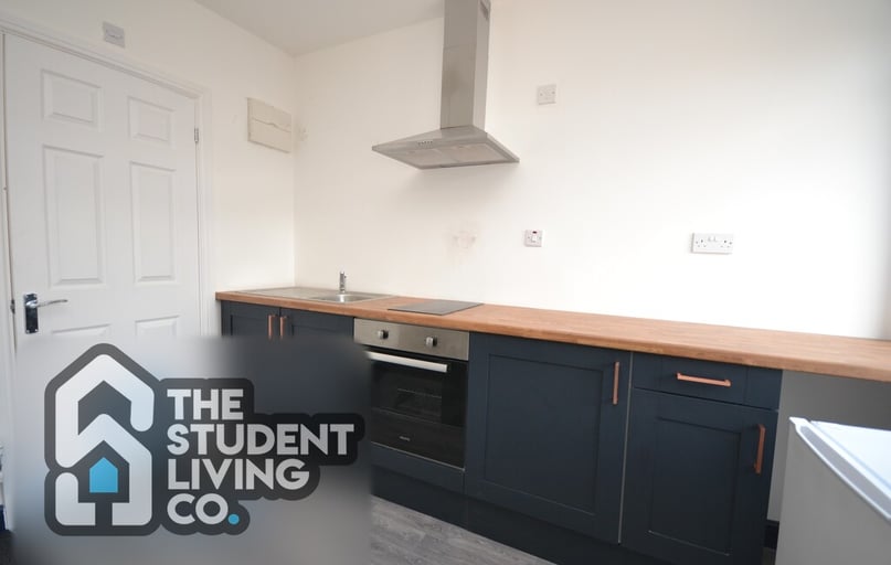 Peveril Street, Radford, Nottingham - Image 1
