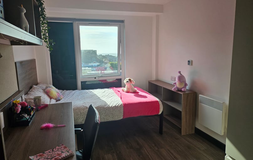 Classic Ensuite, Coppergate, 17–18 The Kingsway, City Centre, Swansea - Image 1