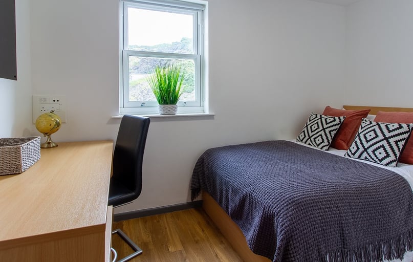 Silver Single with View, Alexandra Hall, Victoria Terrace, Central, Aberystwyth - Image 1