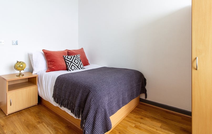 Bronze Ensuite, Alexandra Hall, Victoria Terrace, Central, Aberystwyth - Image 1