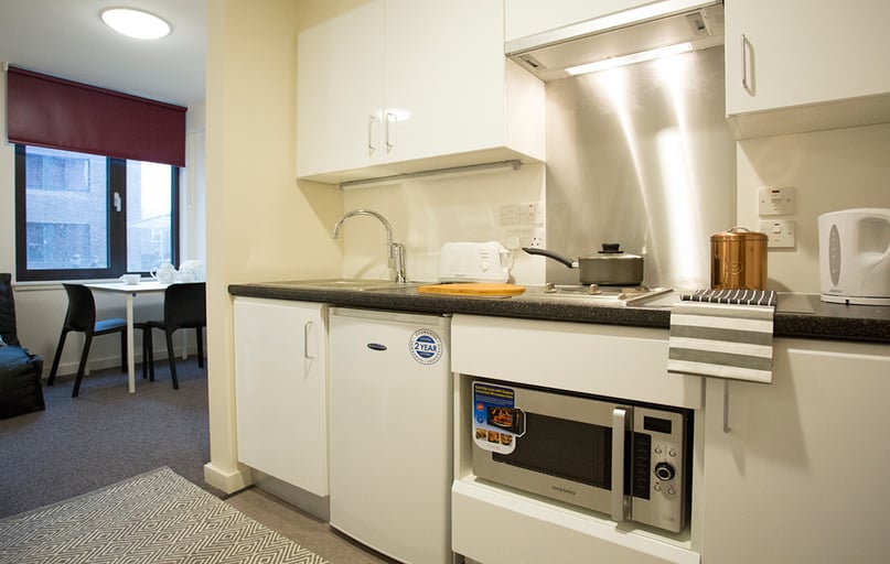 Standard Studio Plus, Powis Place, 2 Powis Place, Old Aberdeen, Aberdeen - Image 1