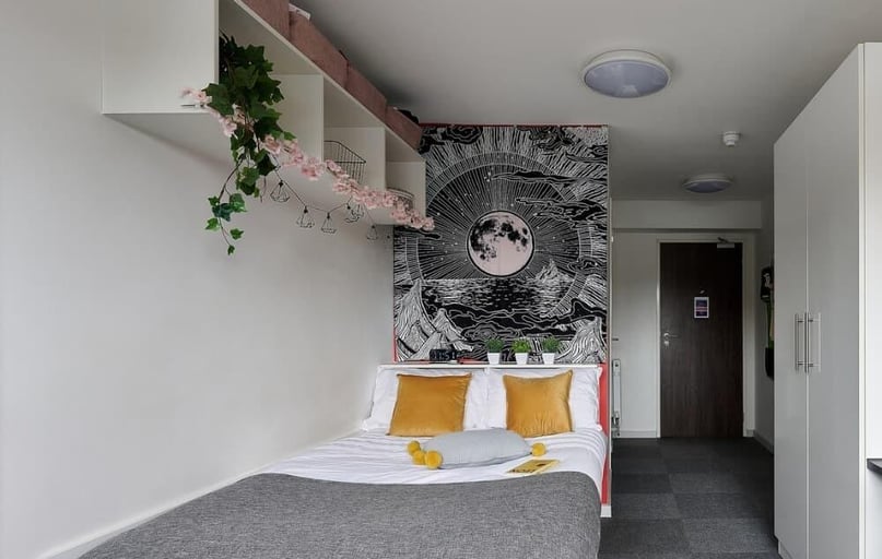 Premium Plus Ensuite, Frobisher House, 64-66 Ebrington Street, Mutley, Plymouth - Image 1