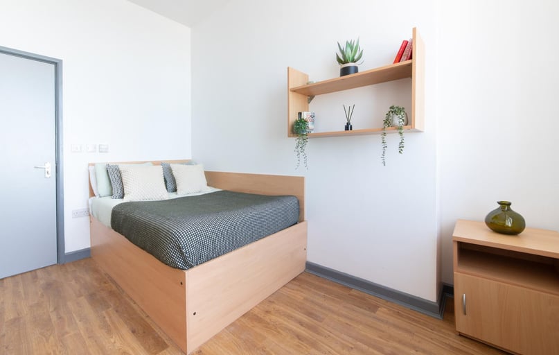 Bronze Plus Double Room, Alexandra Hall, Victoria Terrace, Central, Aberystwyth - Image 1