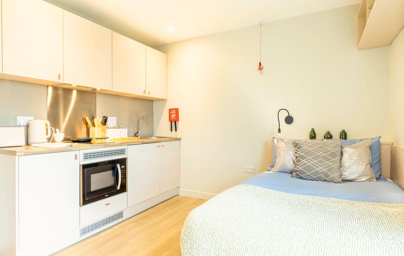 Premium Plus Studio, Straits Meadow, 61-63 London Road, Meadowbank, Edinburgh - Image 1