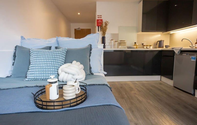 Super Elite Studio - (Extra Large Studio), Palamon Court, Rhodaus Town, City Centre, Canterbury - Image 1