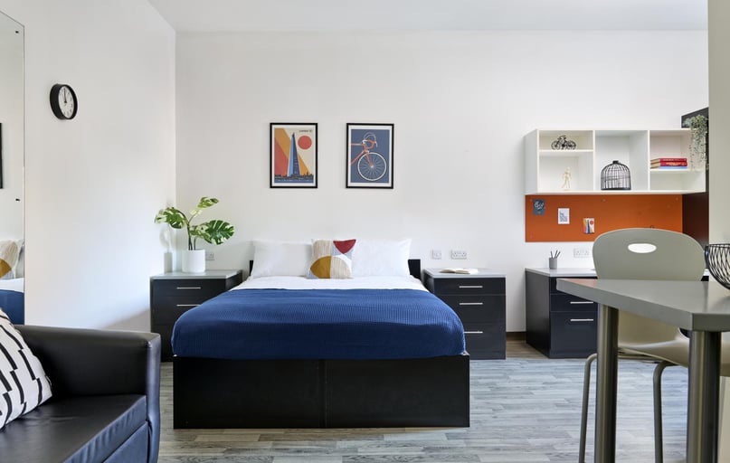 Platinum Plus Studio