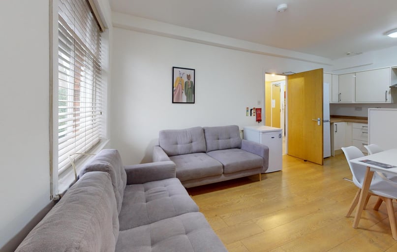 Blenheim Terrace, Woodhouse, Leeds - Image 1