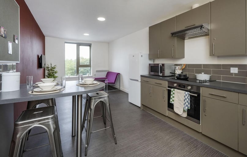 Gold Ensuite, Foundry Courtyard, 214 Kennedy Street, Glasgow Caledonian University, Glasgow - Image 1