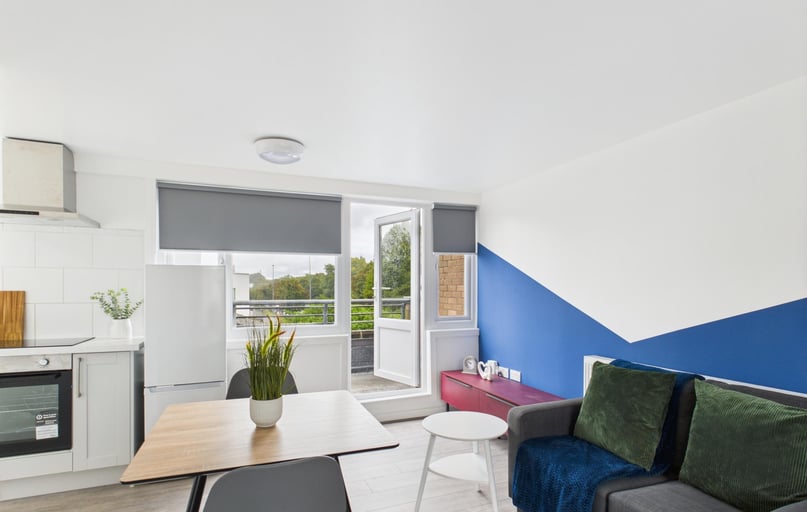 The Groves, Georgian Quarter, Liverpool - Image 1