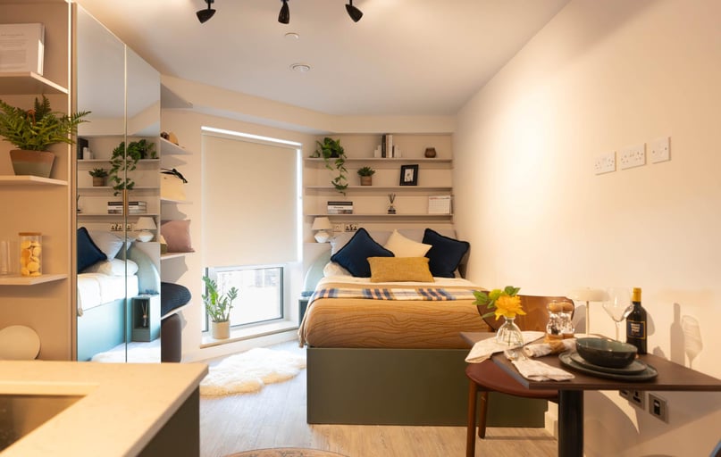 Comfort Studio, The Rex, 183 Clarence Street, City Centre, Kingston - Image 1