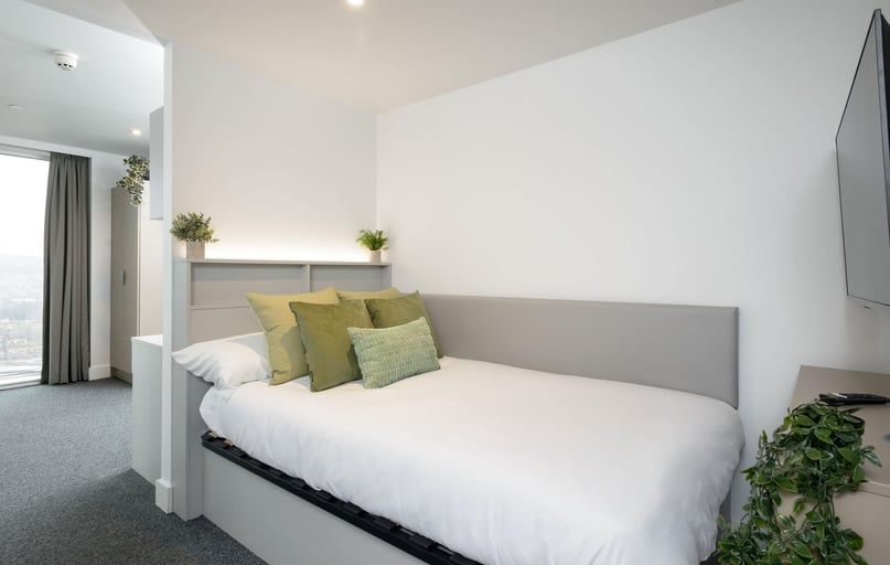 true Sky Studio Plus, true Sheffield, 12 Tenter Street, City Centre, Sheffield - Image 1