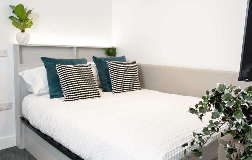 True Studio, true Sheffield, 12 Tenter Street, City Centre, Sheffield - Image 1