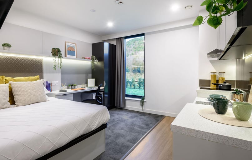 true Accessible Studio River View, true Swansea, Morfa Road, City Centre, Swansea - Image 1