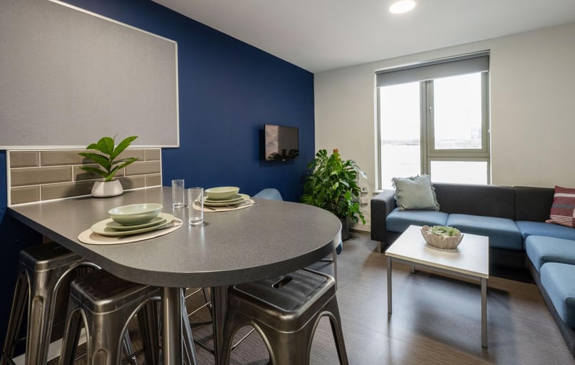 Bronze Sky View Ensuite, Foundry Courtyard, 214 Kennedy Street, Glasgow Caledonian University, Glasgow - Image 1