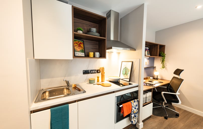 Studio Skyline View Plus, Nelson Place, 8 Nelson Street, Belfast Metropolitan College, Belfast - Image 1