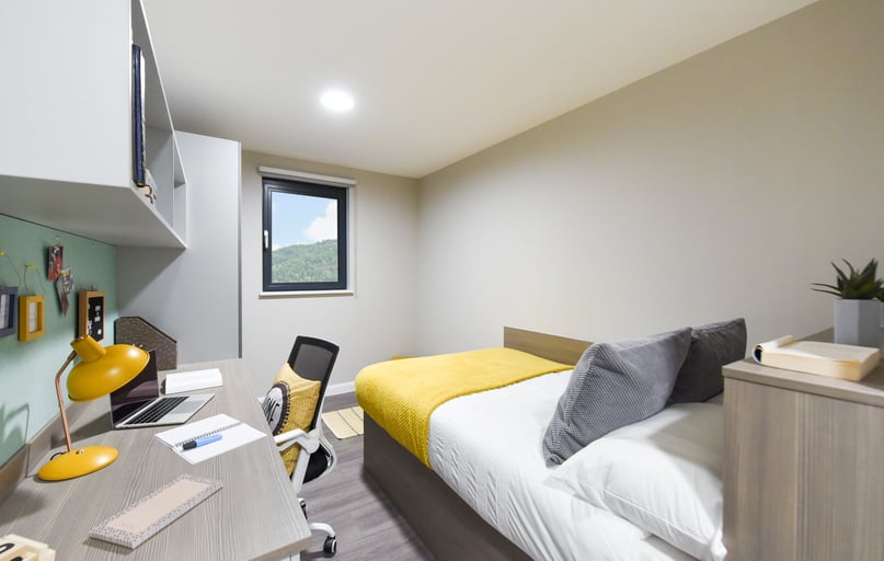 Ensuite Gold, St Davids, Morfa Road, City Centre, Swansea - Image 1