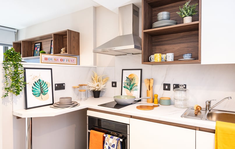 Studio Skyline View, Nelson Place, 8 Nelson Street, Belfast Metropolitan College, Belfast - Image 1