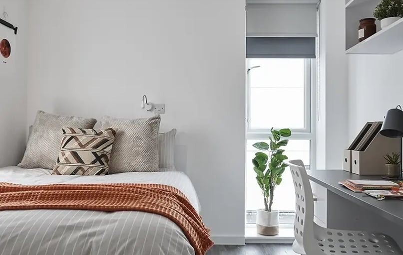 Premium Studio, The Quarry, Penwerris Lane, City Centre, Falmouth - Image 1