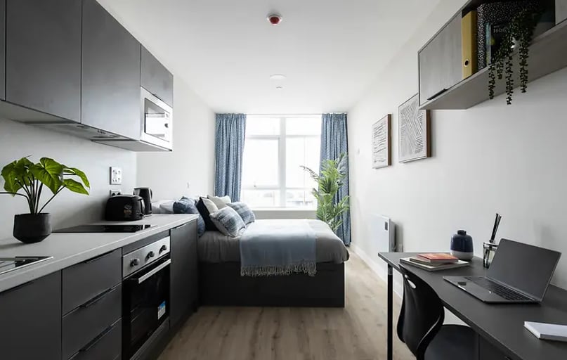 Classic Studio, Boutique Swansea, St Helen's Road, Mount Pleasant, Swansea - Image 1