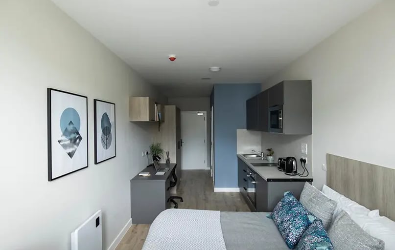 Deluxe Studio Terrace, Boutique Swansea, St Helen's Road, Mount Pleasant, Swansea - Image 1