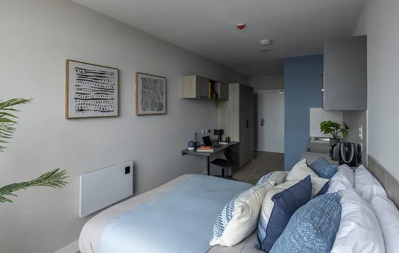 Premium Studio Terrace, Boutique Swansea, St Helen's Road, Mount Pleasant, Swansea - Image 1