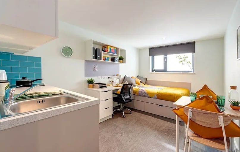 Standard Studio, Carrick View, 110 Kimberley Park Road, City Centre, Falmouth - Image 1