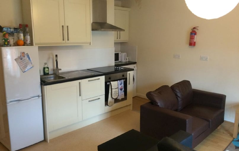 Alfreton Road (S), Arboretum, Radford, Nottingham - Image 1